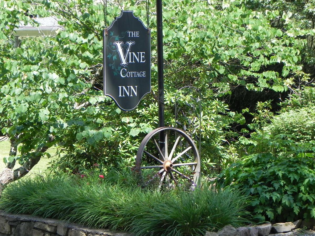 Vine Cottage Inn 温泉城 外观 照片